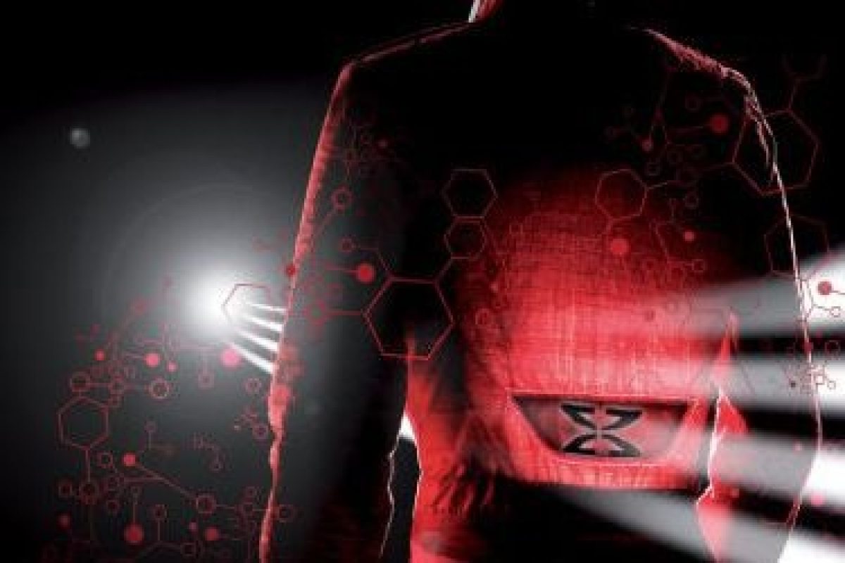 imgi_22_sp_about_2013